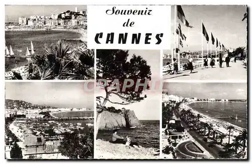 Cartes postales Cannes Souvenir