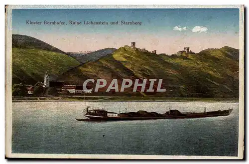 Cartes postales Kloster Bornhofen Ruine Liebenstein und Sternberg