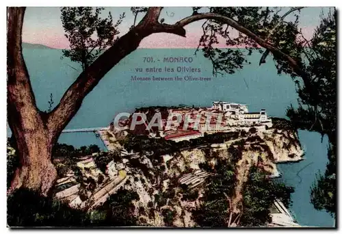 Cartes postales Monaco Monte Carlo vue entre les oliviers