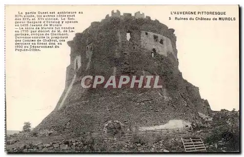 Ansichtskarte AK Auvergne Ruines du chateau de Murols