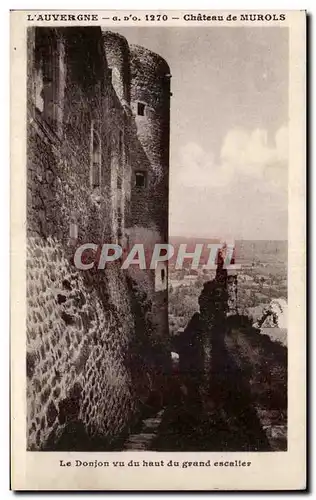 Ansichtskarte AK Auvergne Chateau de Murols Le donjon vu du haut du grand escalier