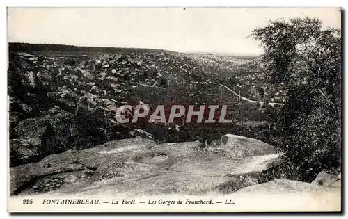 Cartes postales Fontainebleau La foret Les gorges de Franchard