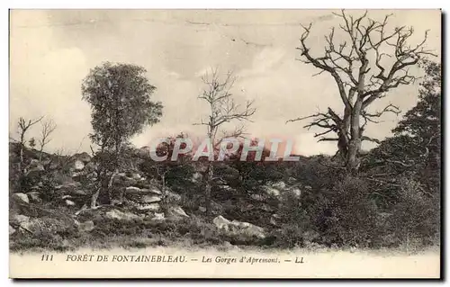 Ansichtskarte AK Foret de Fontainebleau Les gorges d Apremont