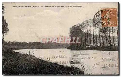 Cartes postales Bray sur Seine Chemin du vieux Mouy L ile penancier