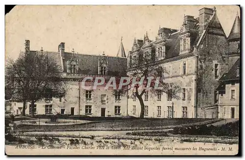 Cartes postales Amboise le chateau