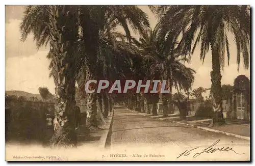 Cartes postales Hyeres Allee de palmiers