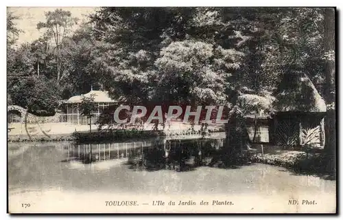 Cartes postales Toulouse L ile du jardin des plantes