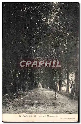 Cartes postales St Ylie Allee des marronniers