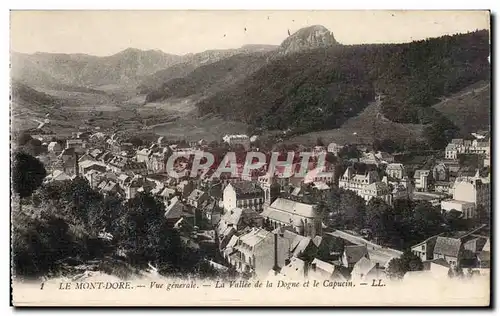 Cartes postales Le Mont Dore Vue generale La vallee de la Dogne et le capucin