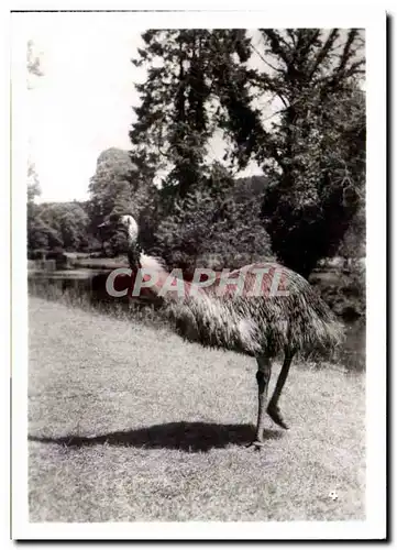 Cartes postales moderne Par zoologique Cleres zoo