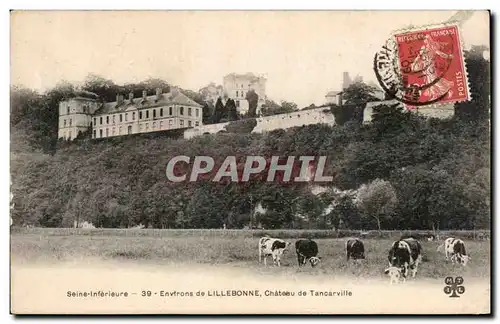 Environs de Lillebonne - Chateau de Tancarville - Ansichtskarte AK