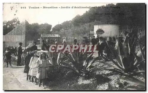 Ansichtskarte AK Toulon Mourillon Jardin d acclimatation Le law tennis