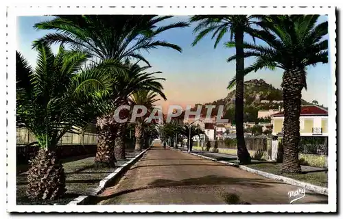 Cartes postales moderne Hyeres Avenue Godillot