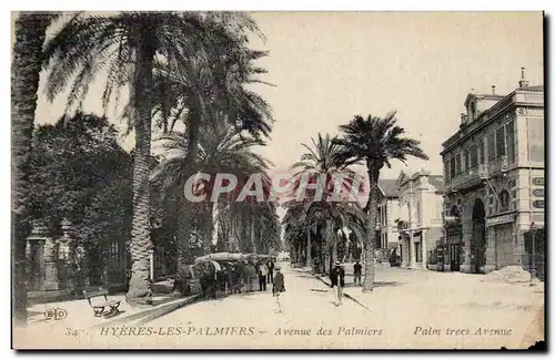 Ansichtskarte AK Hyeres les Palmiers Avenue des palmiers