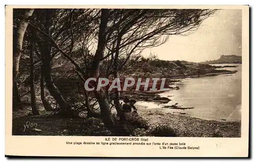 Cartes postales Ile de Port Cros Une plage dessine sa ligne