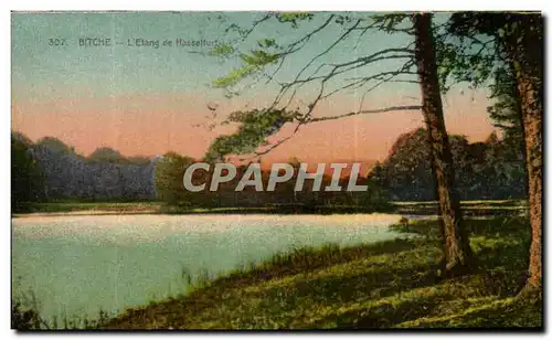 Camp de Bitche - L Etang de Hasselfurt - Cartes postales