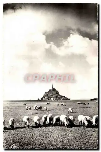 Le Mont Saint Michel - Les Pres Sales - Cartes postales