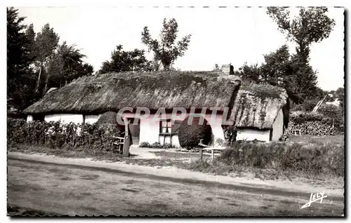 Au Pays de Monts - Une des dernieres Bourines - Cartes postales