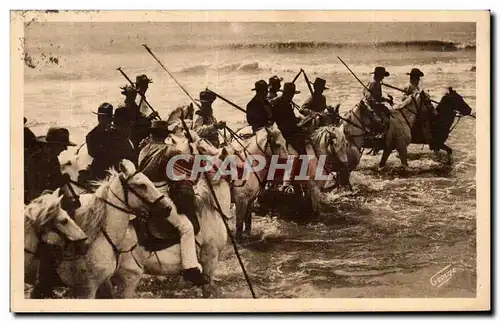 Sainte Maries de la Mer - Pelerinage - Les gardians de Camargue - cheval - horse - Cartes postales