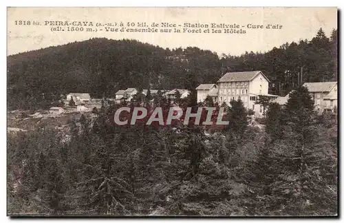 Peira Cava - Sation Estivale - Cure d air - Cartes postales