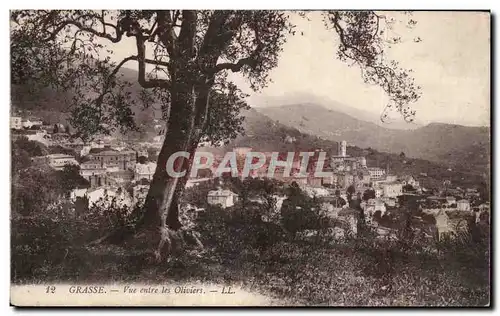 Grasse - Vue entre les Oliviers - Ansichtskarte AK