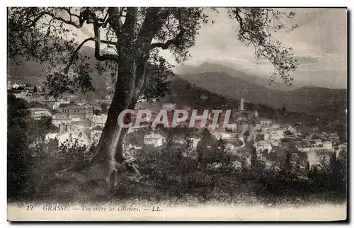 Grasse - Vue entre les Oliviers - Cartes postales