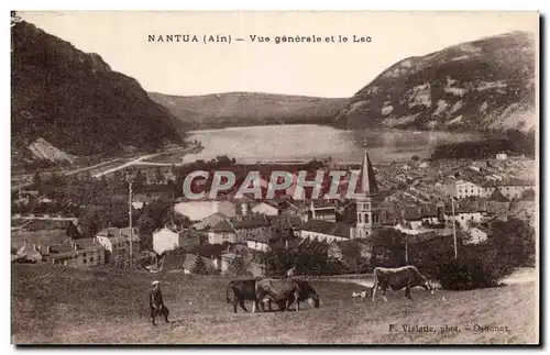 Nantua - Vue Generale et le Lac Berger et vaches - Ansichtskarte AK