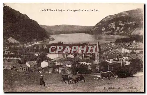 Nantua - Vue Generale et le Lac Berger et vaches - Cartes postales