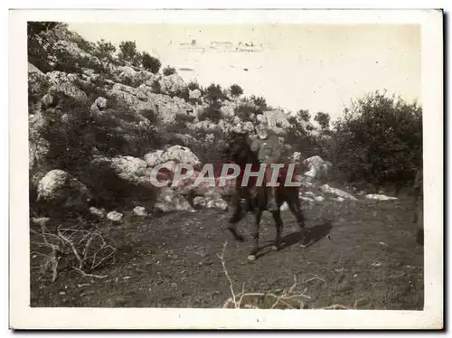 CARTE PHOTO Militaria Cavalier