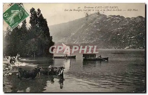 Environs d Aix les Bains - Lac du Bourget - La Dent du Chat - Ansichtskarte AK