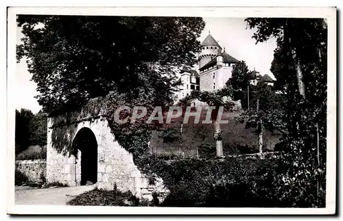 Cartes postales moderne Environs d Annecy Le chateau de Montrottier