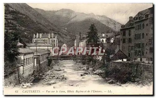 Cartes postales Cauterets Vue sur le GAve Hotels regina et de l unviers