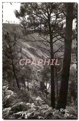 Cartes postales moderne St Leonard des Bois Versant du Haut Fourche