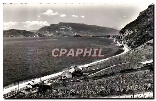 Cartes postales moderne Lac du Bourget Sur le sentier de la Chambotte