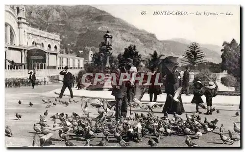 Cartes postales Monte Carlo Monaco Les pigeons