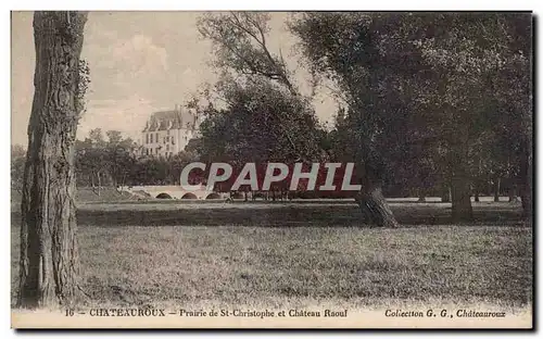 Cartes postales Chateauroux Praire de St Christophe et chateau Raoul