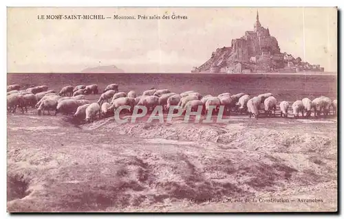 Le Mont Saint Michel - Moutons - Pres Sales des Greves - Ansichtskarte AK