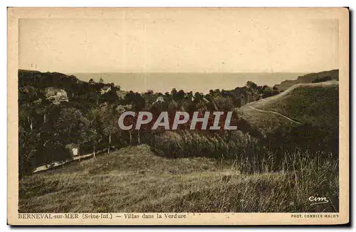 Cartes postales Berneval sur Mer Villas dans la verdure