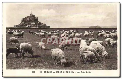 Le Mont Saint Michel - Les Pres Sales - Les Moutons - Ansichtskarte AK