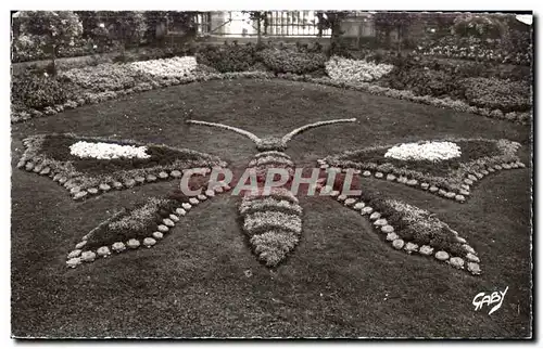 Avranches - Jardin des Plantes - Le Papillon Butterfly - Ansichtskarte AK