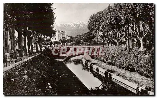 Perpignan - Les Quais Fleuris de la Basse - Ansichtskarte AK