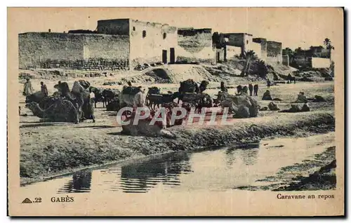 Cartes postales Tunisie Gabes Caravane au repos