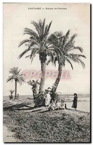 Cartes postales Tunisie Carthage Groupe de palmiers Enfants