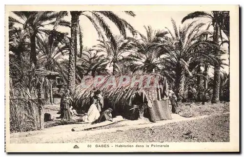 Ansichtskarte AK Tunisie Gabes Habitation dans la palmeraie