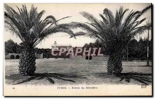 Cartes postales Tunisie Tunis Entree du Belvedere