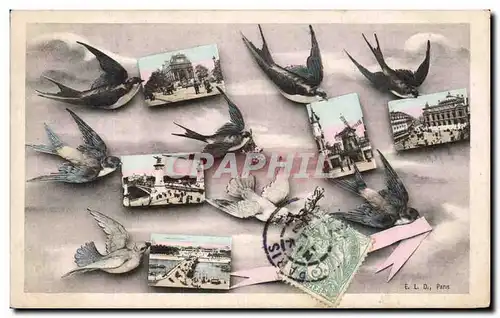 Paris - 1 - Souvenir - Oiseau - birds - Cartes postales