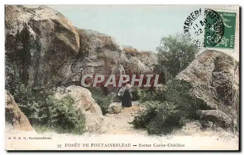 Ansichtskarte AK Foret de Fontainebleau Rocher Cuvier Chatillon