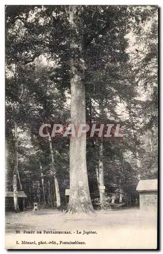 Ansichtskarte AK Fontainebleau Foret Le Jupiter