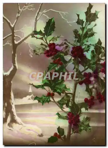 Fetes - Voeux - Bonne Annee - houx - holly - Cartes postales