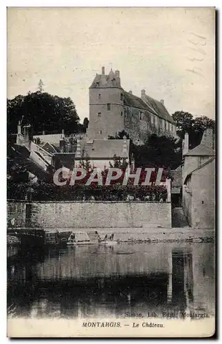 Montargis - Le Chateau Lavandiere Lavoir - Ansichtskarte AK